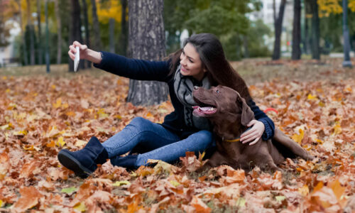 8 Tips for Taking the Perfect Photo